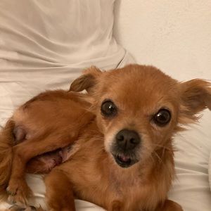 Meet your Posher, Aubrey